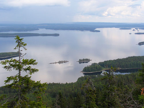 maisema08.jpg