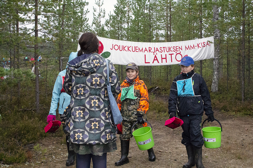 037_paluu-metsasta.jpg