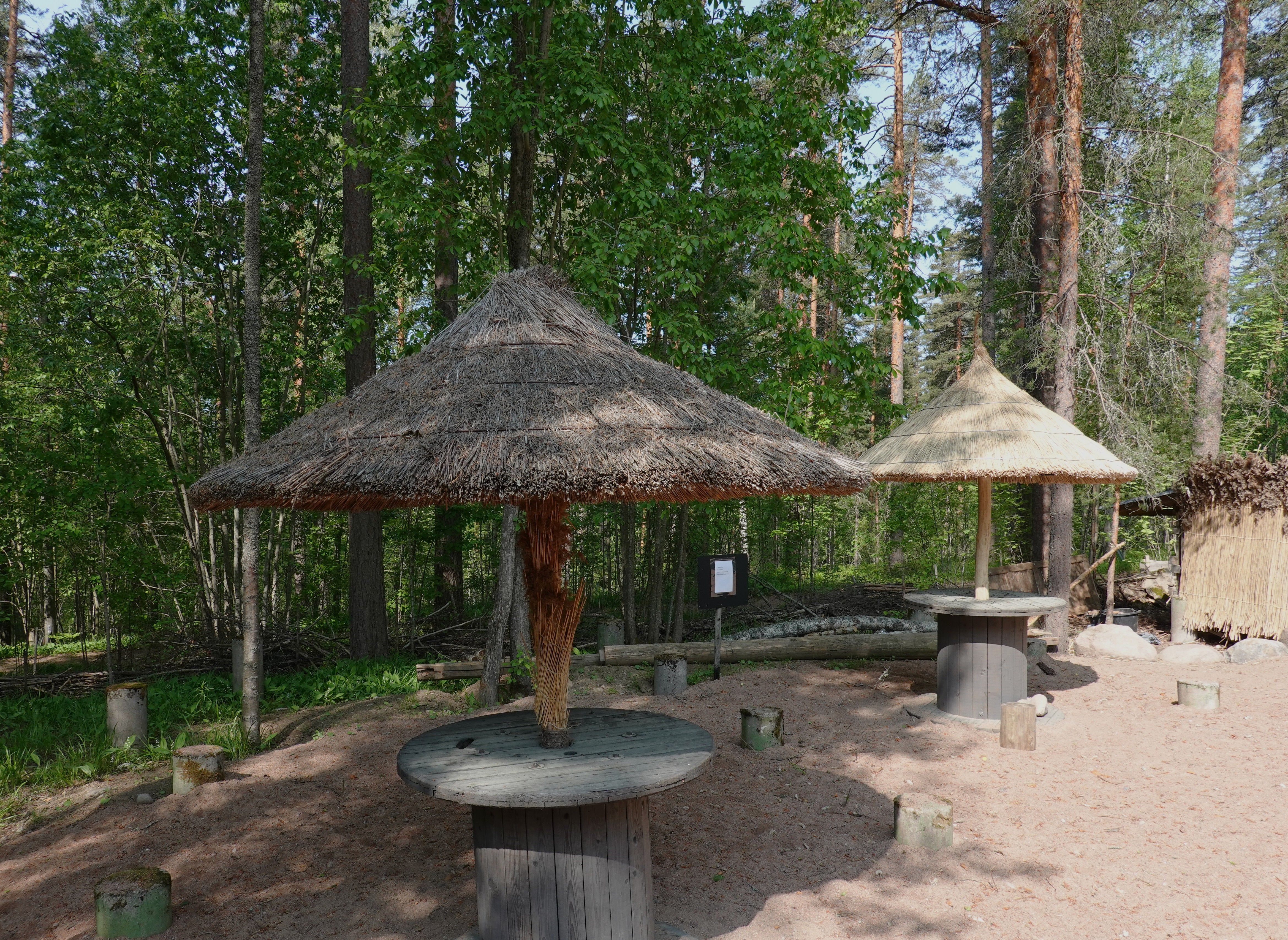 aurinkovarjot DSC02885.JPG