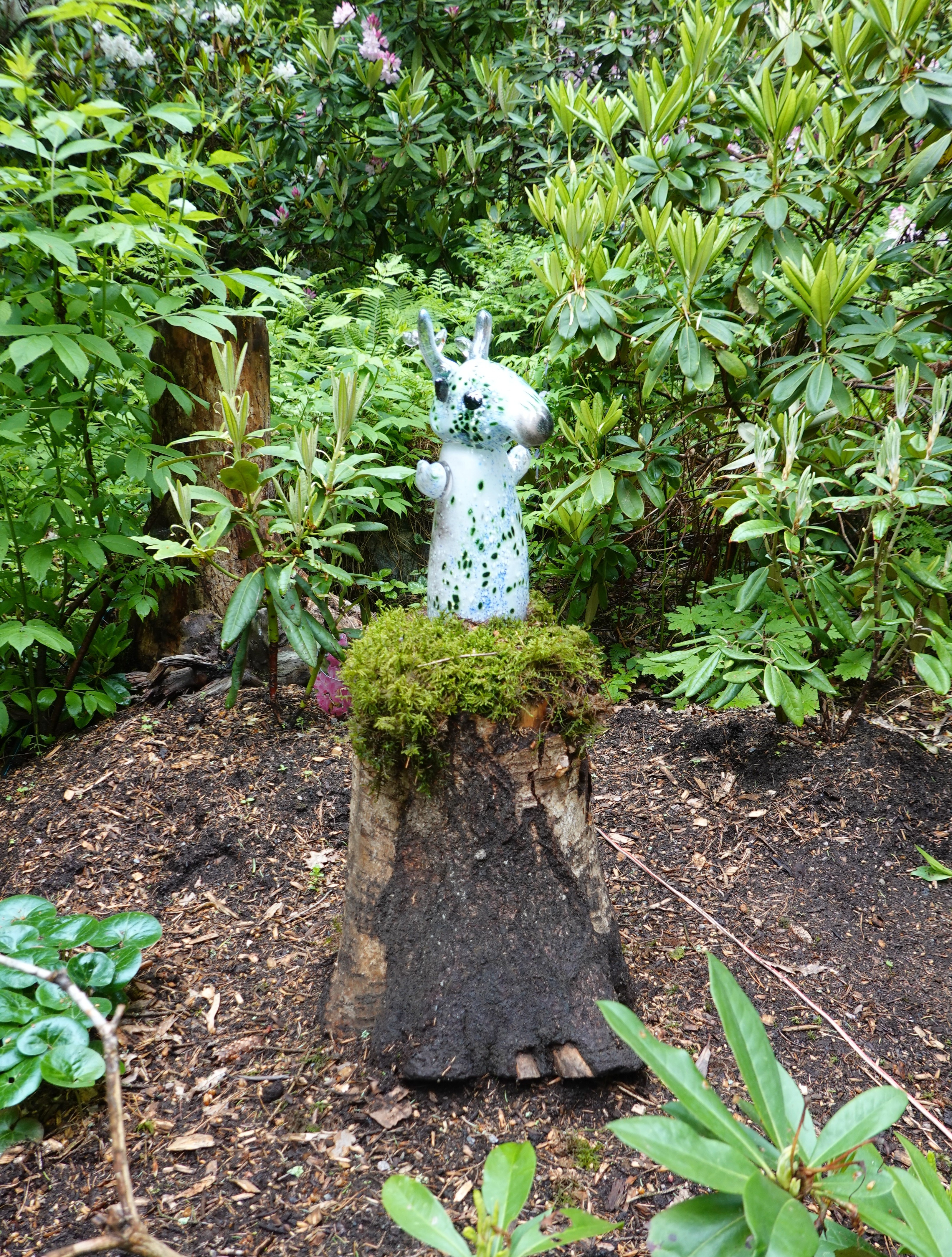 luonnollinen patsaan jalusta, Arboretun FrickDSC03157.JPG