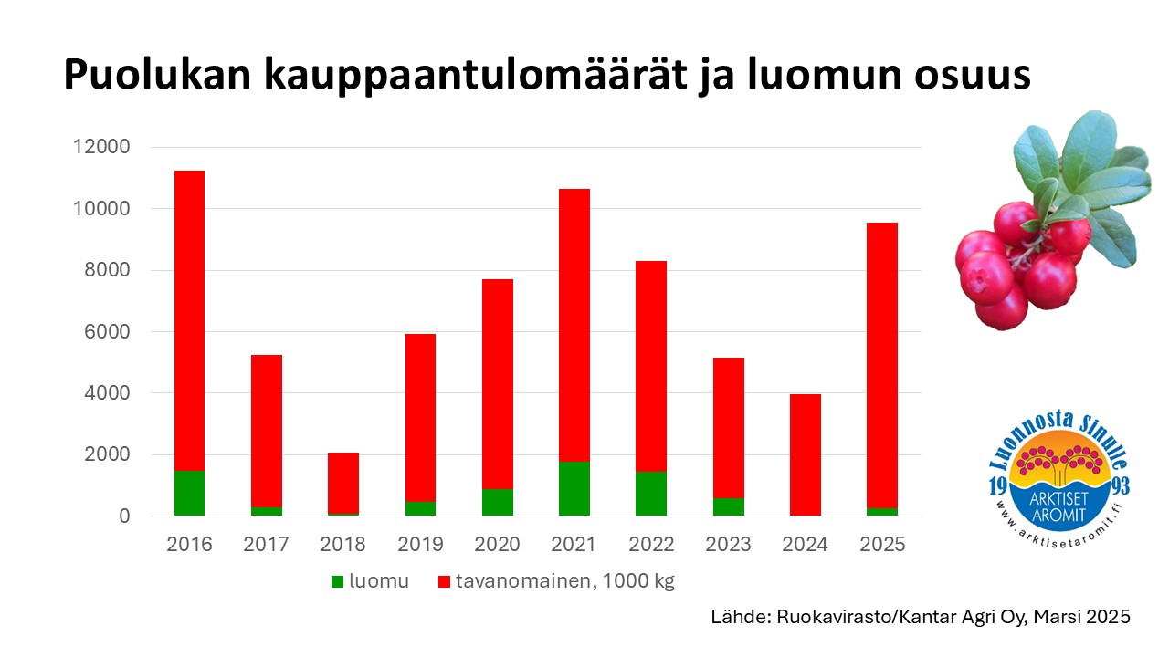 Puolukan kauppaantulo 2025.jpg