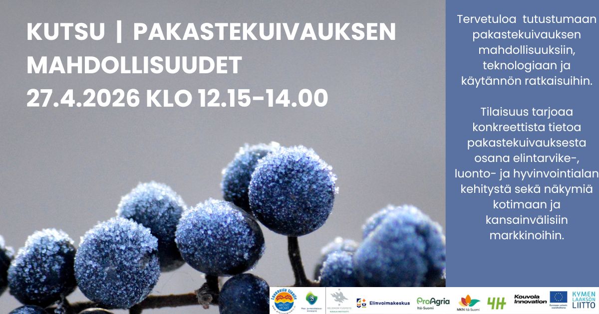 KUTSU Hirvensalmi tiiseri1.jpg