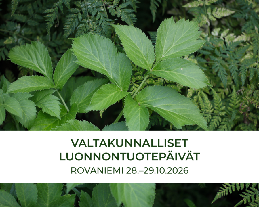 Luonnontuotepäivät järjestetään Rovaniemellä 28.-29.10.2026.