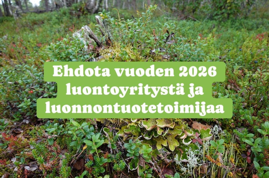Ehdota Vuoden luontoyritystä ja luonnontuotetoimijaa 2026!