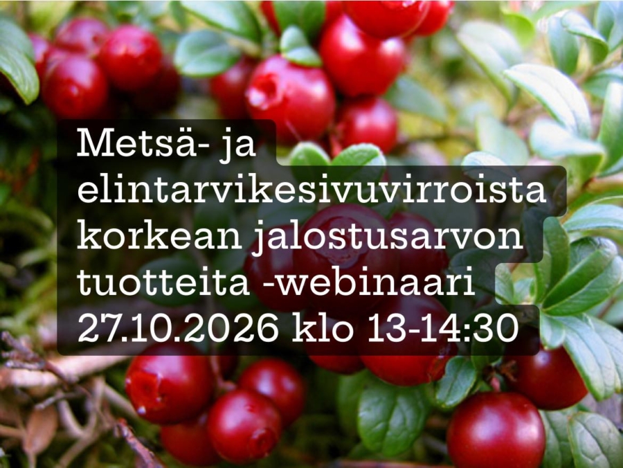 Metsä- ja elintarvikesivuvirroista korkean jalostusarvon biotuotteita -webinaari 27.10.2026 klo 13–14.30
